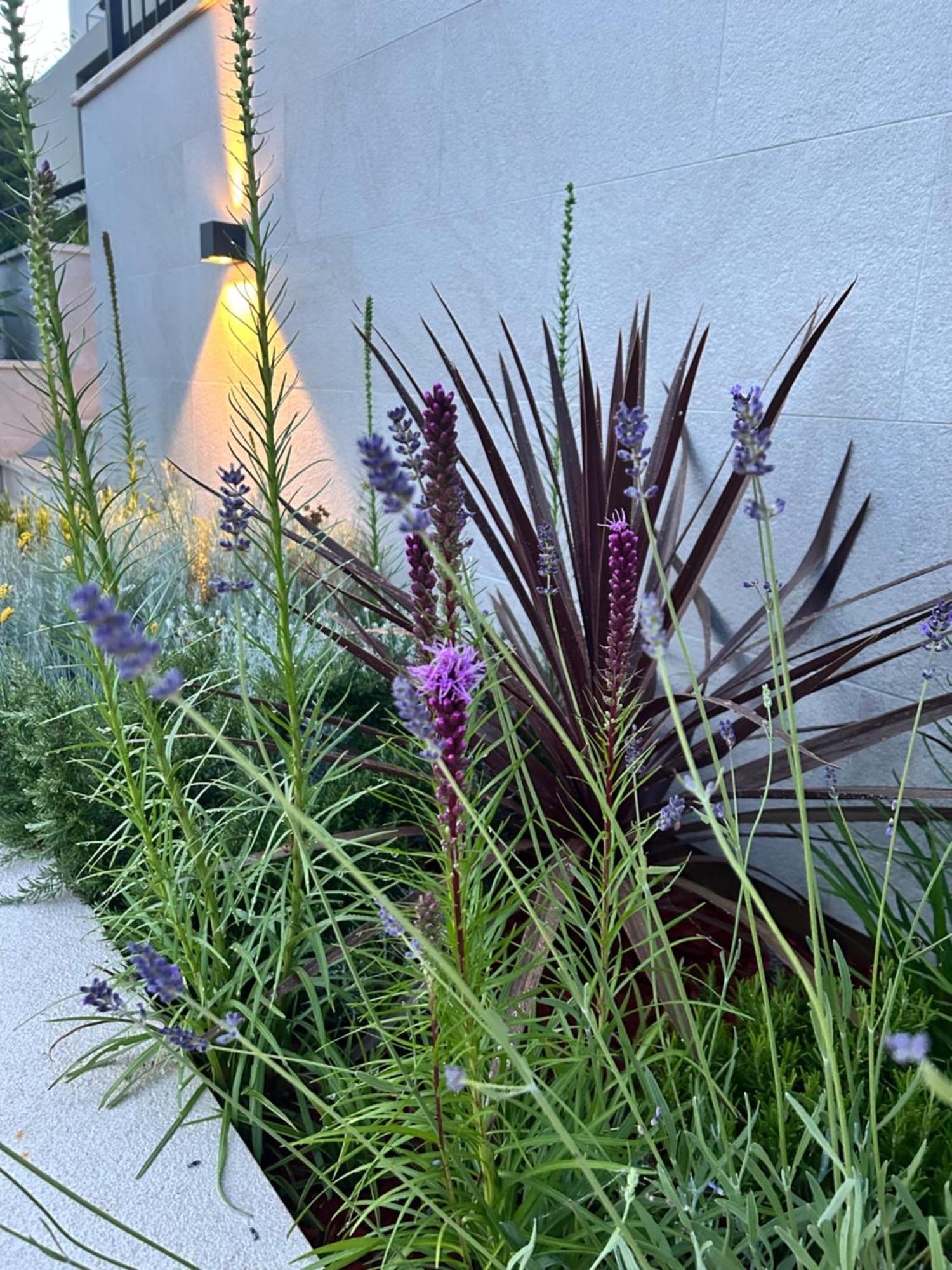 ראבץ V Residence Apartments מראה חיצוני תמונה